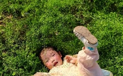 双枪老太婆广场舞